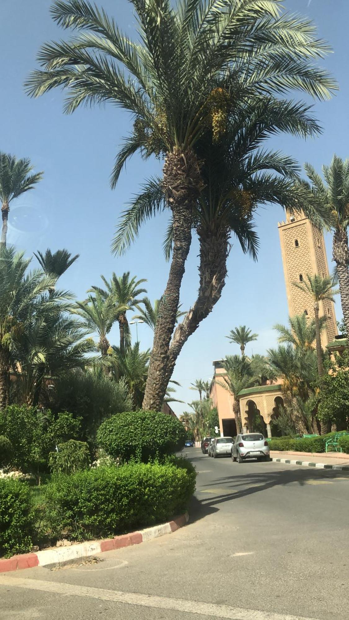 Riad Lyna Marrakesh Exteriör bild